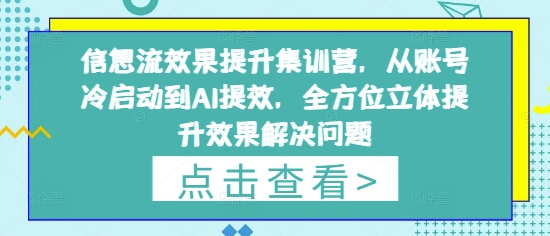 信息流效果提升集训营，从账号冷启动到AI提效，全方位立体提升效果解决问题-玩备项目资源网