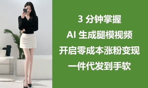 3分钟掌握AI生成腿模视频，开启零成本涨粉变现，一件代发到手软-玩备项目资源网