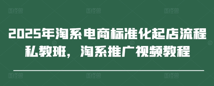 2025年淘系电商标准化起店流程私教班，淘系推广视频教程-玩备项目资源网