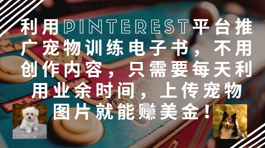 利用Pinterest平台推广宠物训练电子书，不用创作内容，只需要每天利用业余时间，上传宠物图片就能挣美金!-玩备项目资源网