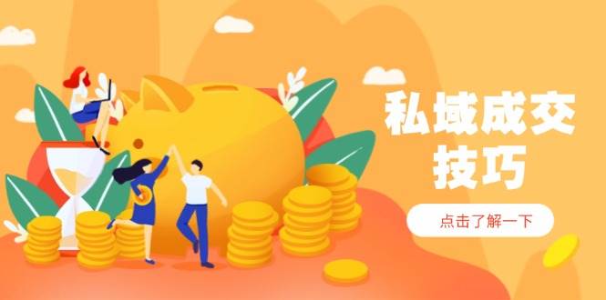 （14566期）私域成交技巧，帮你从入门到精通，破解四大痛点，快速变现，轻松收钱-玩备项目资源网