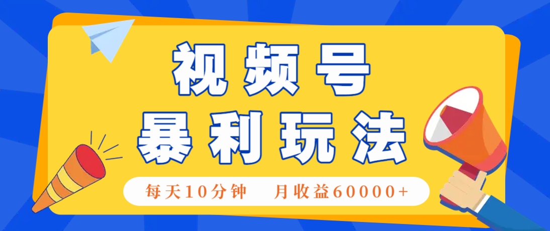 视频号AI赚钱法，每天只需10分钟，月入6万+！（超详细拆解）-玩备项目资源网