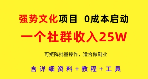 强势文化项目，一个社群收入25个W，0成本启动，可矩阵批量操作，原创详细实操教程-玩备项目资源网