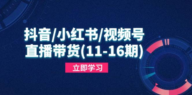 （14611期）抖音/小红书/视频号/直播带货(11-16期)，快速掌握平台规则，打造爆款内容-玩备项目资源网