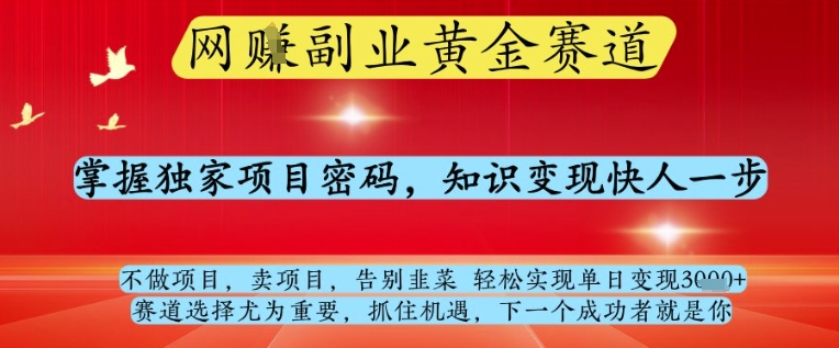 网创副业黄全赛道，掌握独家项目密码，知识变现快人一步，告别韭菜轻松实现单日变现1k+【揭秘】-玩备项目资源网