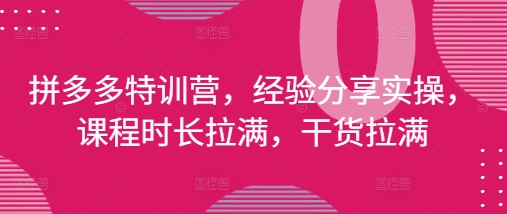 拼多多特训营，经验分享实操，课程时长拉满，干货拉满(更新25年4月)-玩备项目资源网