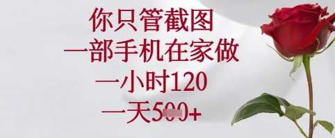 你只管截图，一部手机在家可以做，一小时120.一天5张+【揭秘】-玩备项目资源网