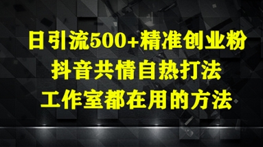 日引流500+精准创业粉，抖音共情自热打法，工作室都在用的方法-玩备项目资源网