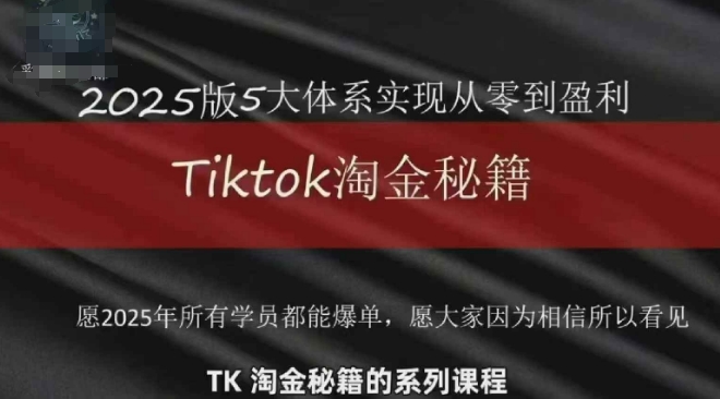 TikTok跨境2025淘金秘籍，​2025TikTok从0到盈利变现-玩备项目资源网