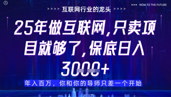 什么！25年你还在找项目做？风口早就变了，卖项目才是稳挣不赔【揭秘】-玩备项目资源网