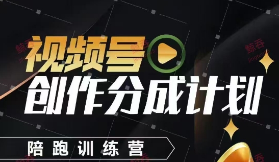 视频号创作分成计划陪跑训练营，手把手教会你如何制作视频，细水长流型项目-玩备项目资源网