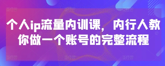 个人ip流量内训课，内行人教你做一个账号的完整流程-玩备项目资源网