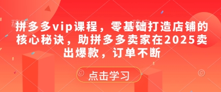 拼多多vip课程，零基础打造店铺的核心秘诀，助拼多多卖家在2025卖出爆款，订单不断-玩备项目资源网