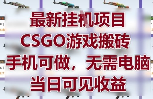 最新挂G项目，CSGO游戏搬砖，手机可做，无需电脑，当日见收益【揭秘】-玩备项目资源网