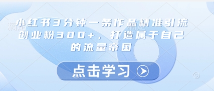 小红书3分钟一条作品精准引流创业粉300+，打造属于自己的流量帝国-玩备项目资源网