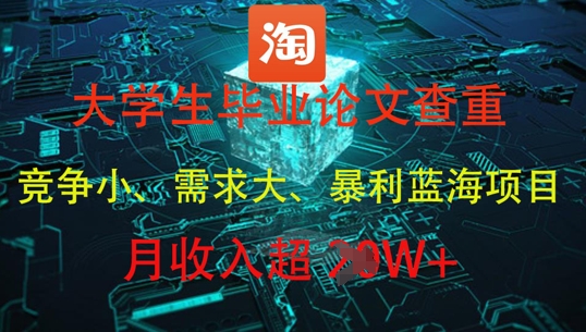大学生毕业论文查重，暴利蓝海项目，月收入过1W+-玩备项目资源网