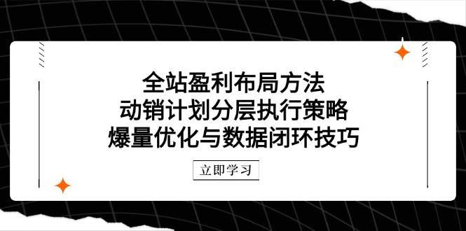 （14698期）全站盈利布局方法：动销计划分层执行策略，爆量优化与数据闭环技巧-玩备项目资源网