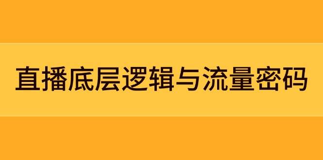直播底层逻辑与流量密码：定位模型+案例拆解，急速流承接与数据优化全攻略-玩备项目资源网