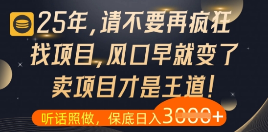 什么？25年你还在疯狂找项目做，醒醒吧，看完这些你全都懂了【揭秘】-玩备项目资源网