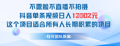 不露脸不直播不拍摄抖音单条视频日入1k+这个项目适合所有人长期积累的项目-玩备项目资源网