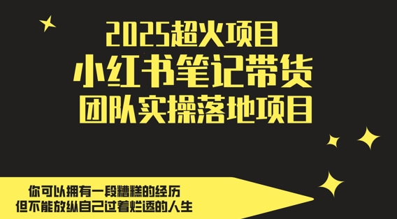 2025超火项目，副业最佳选择，小红书笔记带货团队实操落地项目，，轻松日入5张-玩备项目资源网