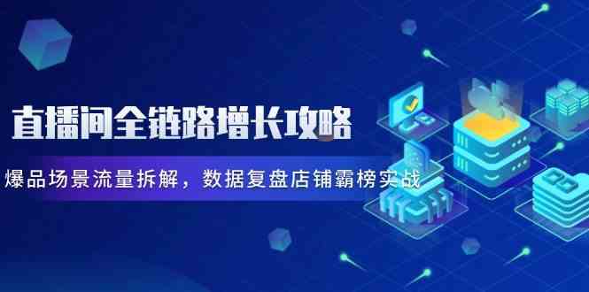 直播间全链路增长攻略，爆品场景流量拆解，数据复盘店铺霸榜实战-玩备项目资源网