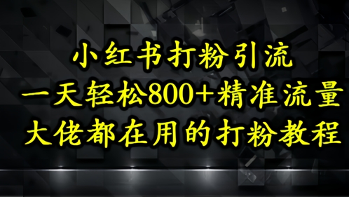 小红书打粉引流，一天轻松500+精准流量，大佬都在用的打粉教程-玩备项目资源网