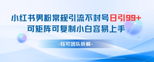 小红书男粉常规引流不封号日引99+变现简单 可矩阵可复制小白容易上手-玩备项目资源网