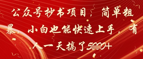 公众号抄书项目，简单粗暴，小白也能快速上手，有人一天搞了1k+-玩备项目资源网