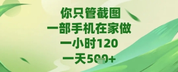 你只管截图，一部手机在家做，苹果安卓都可以，一天5张+【揭秘】-玩备项目资源网