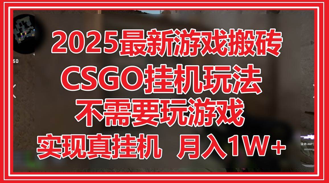 （14743期）2025最新游戏搬砖，CSGO挂机，不需要玩游戏，实现真挂机，月入1W+-玩备项目资源网
