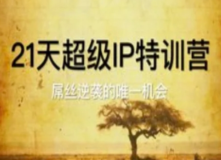 21天超级IP特训营，屌丝逆袭的唯一机会-玩备项目资源网