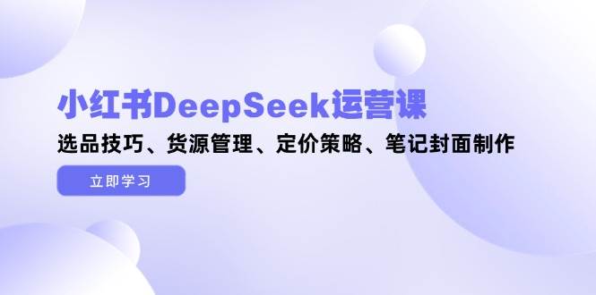 小红书DeepSeek运营课，选品技巧、货源管理、定价策略、笔记封面制作-玩备项目资源网