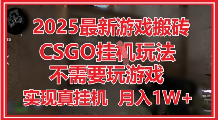 2025最新游戏搬砖，CSGO挂G，不需要玩游戏，实现真挂G，月入1W+【揭秘】-玩备项目资源网