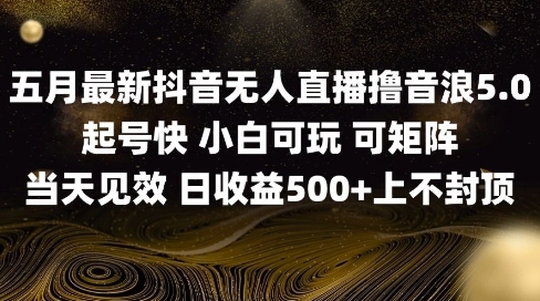 2025五月最新无人直播撸音浪单日产出5张+实操教程【揭秘】-玩备项目资源网