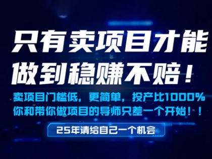 只有卖项目才能做到稳挣不赔，门槛低，更简单，你也可以年入百个W【揭秘】-玩备项目资源网