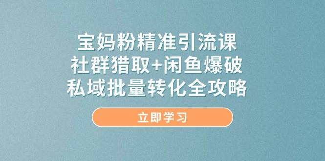 宝妈粉精准引流课，社群猎取+闲鱼爆破，私域批量转化全攻略-玩备项目资源网