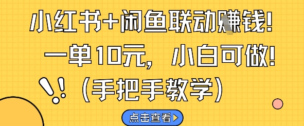 小红书+闲鱼联动挣钱，一单10元，小白可做-玩备项目资源网