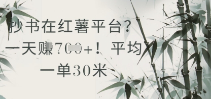 抄书在小红薯平台？平均一单30米，一天收益几张！-玩备项目资源网