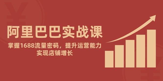 （14830期）阿里巴巴实战课：掌握1688流量密码，提升运营能力，实现店铺增长-玩备项目资源网