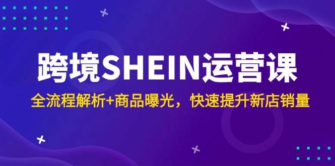 （14832期）跨境SHEIN运营课，全流程解析+商品曝光，快速提升新店销量-玩备项目资源网