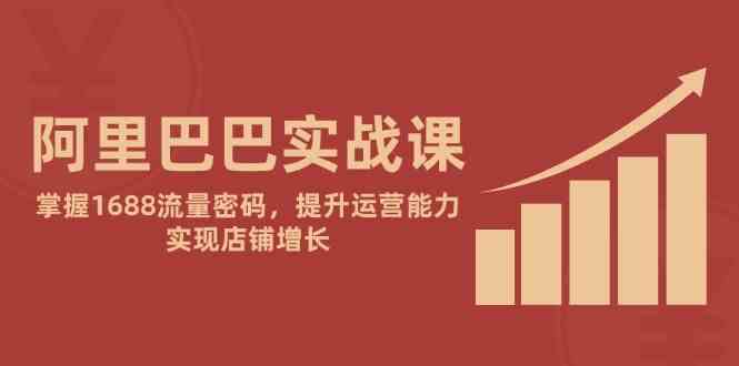 阿里巴巴实战课：掌握1688流量密码，提升运营能力，实现店铺增长-玩备项目资源网