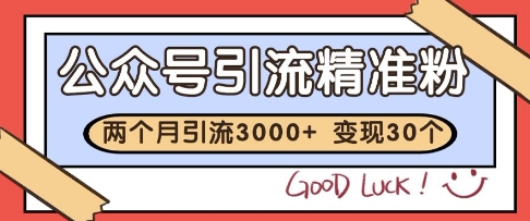 公众号精准粉引流玩法，2个月3000+精准粉，变现30个W【揭秘】-玩备项目资源网