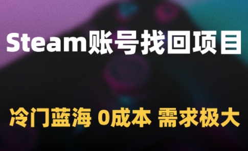 Steam账号找回项目，冷门蓝海，0成本，需求极大-玩备项目资源网