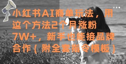 小红书AI商单玩法，用这个方法2个月涨粉7W+，新手也能接品牌合作(附全套指令模板)-玩备项目资源网
