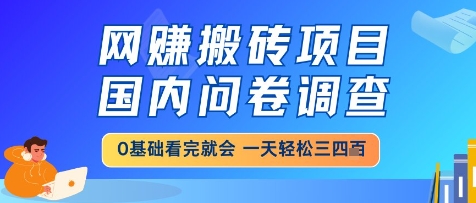 网创搬砖项目，国内问卷调查，小白轻松上手，一天三四张的也不难，干就完了【揭秘】-玩备项目资源网
