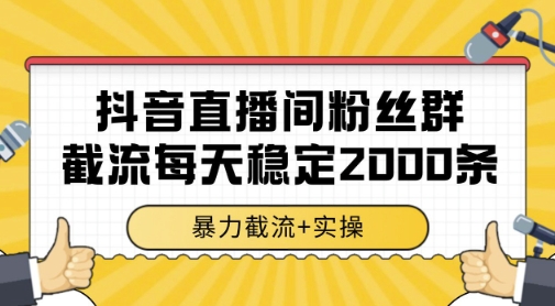 抖音直播间粉丝群暴力截流，一台电脑每天稳定2000条数据，暴力截流+实操 【揭秘】-玩备项目资源网