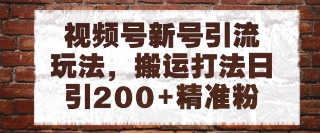 视频号新号引流玩法，搬运打法日引200+精准粉，可矩阵放大【揭秘】-玩备项目资源网