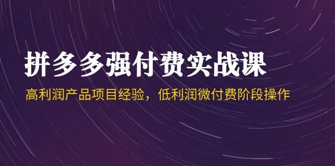 （14874期）拼多多强付费实战课-44期，高利润产品项目经验，低利润微付费阶段操作-玩备项目资源网