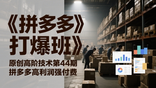 《拼多多打爆班》原创高阶技术第44期，拼多多高利润强付费-玩备项目资源网
